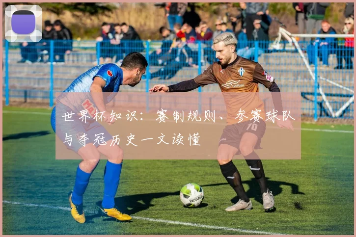 世界杯知识：赛制规则、参赛球队与夺冠历史一文读懂