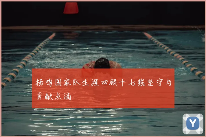 杨鸣国家队生涯回顾十七载坚守与贡献点滴