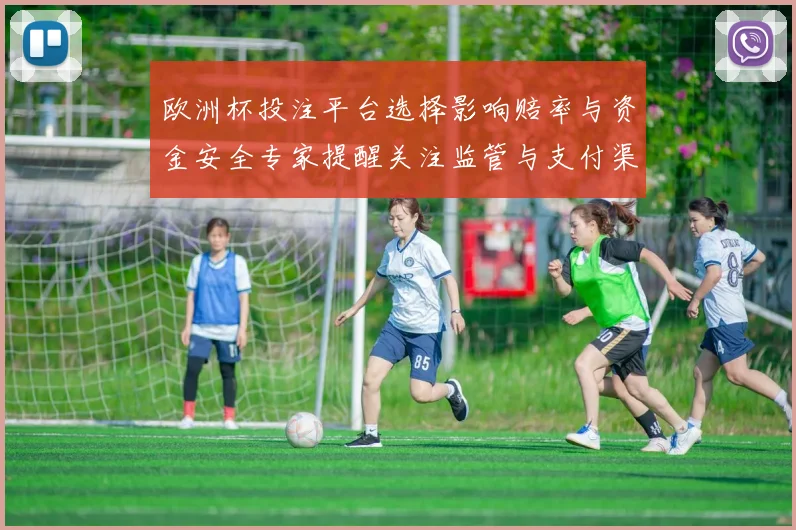 欧洲杯投注平台选择影响赔率与资金安全专家提醒关注监管与支付渠道