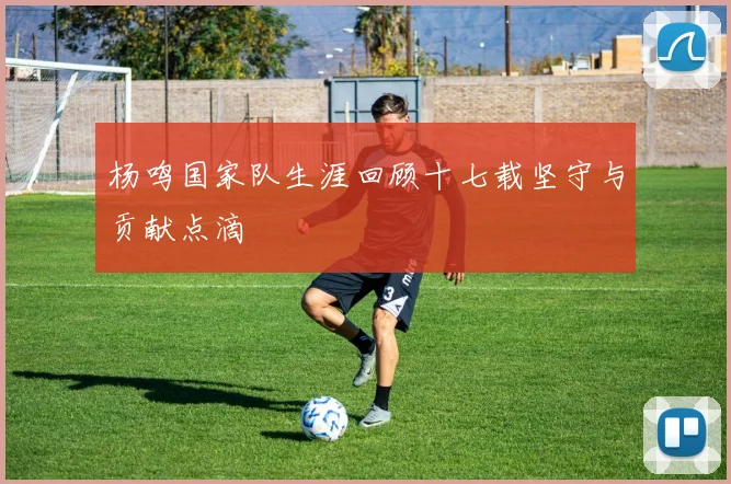 杨鸣国家队生涯回顾十七载坚守与贡献点滴