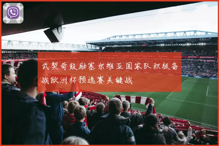 武契奇鼓励塞尔维亚国家队积极备战欧洲杯预选赛关键战